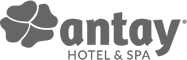 logo antay